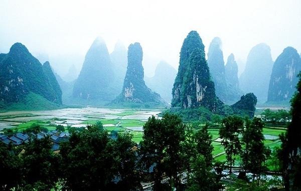 细胞分裂5
